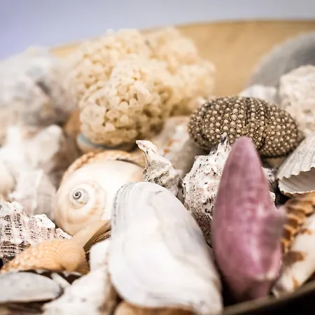 Design - Bymyhomeincomo