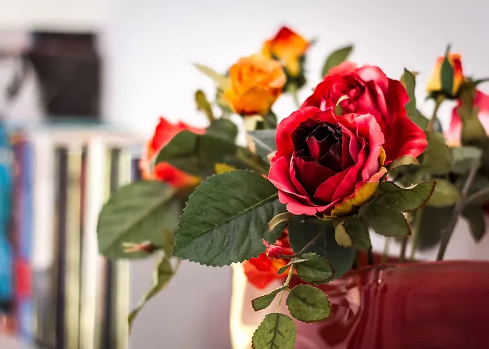 Apartamento Design - Bymyhomeincomo *