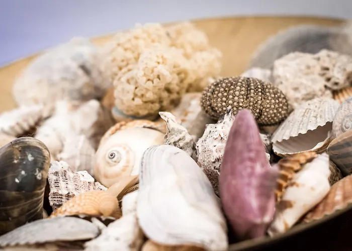 Design - Bymyhomeincomo