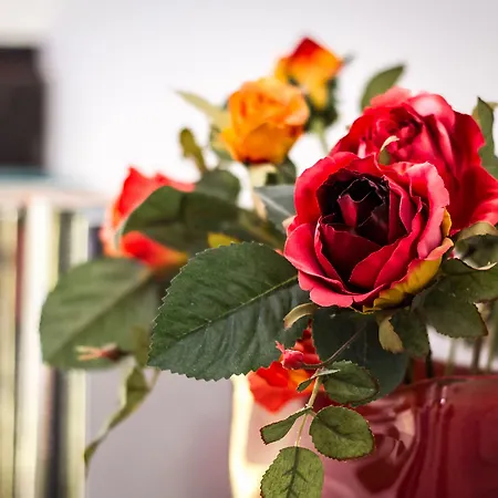 Appartement Design - Bymyhomeincomo *